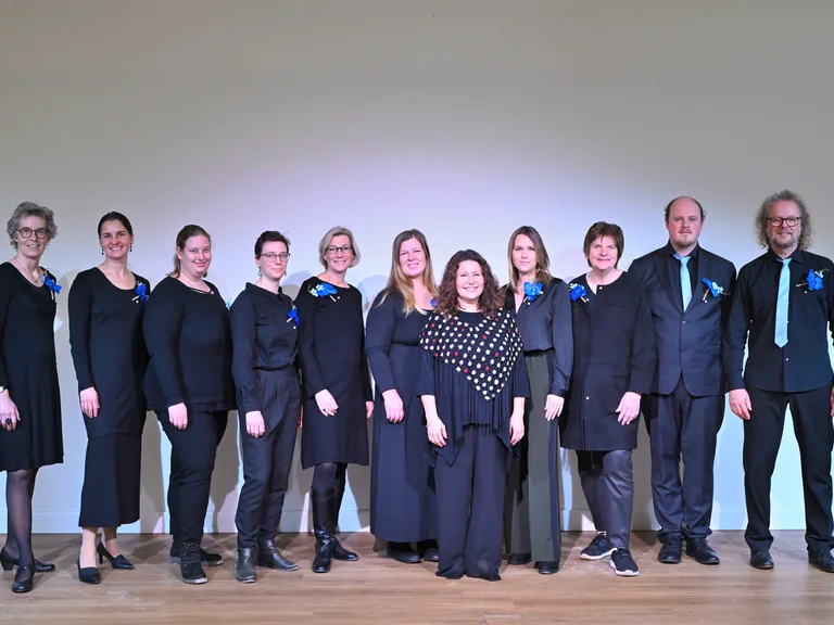 V.I.P. - Voices in Peace